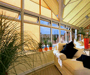Conservatory Roman Blinds